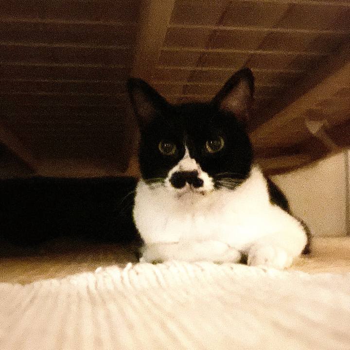 8bc959a9 6d68 44ab a768 a341d12aa99c 1663403264525