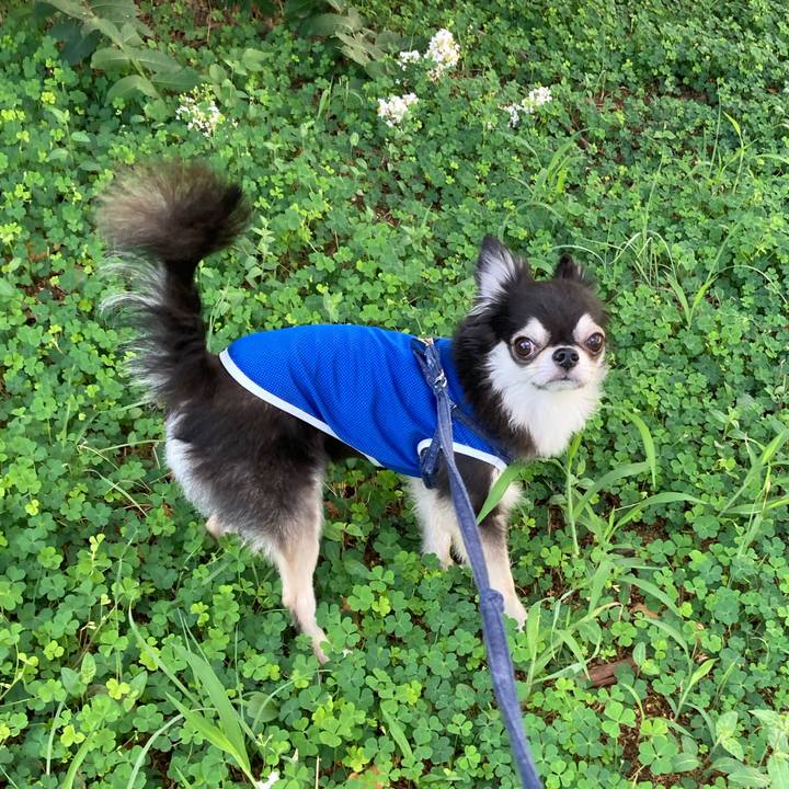 8bc97691 3b5f 4b53 b406 336d679a0212 1693063803735