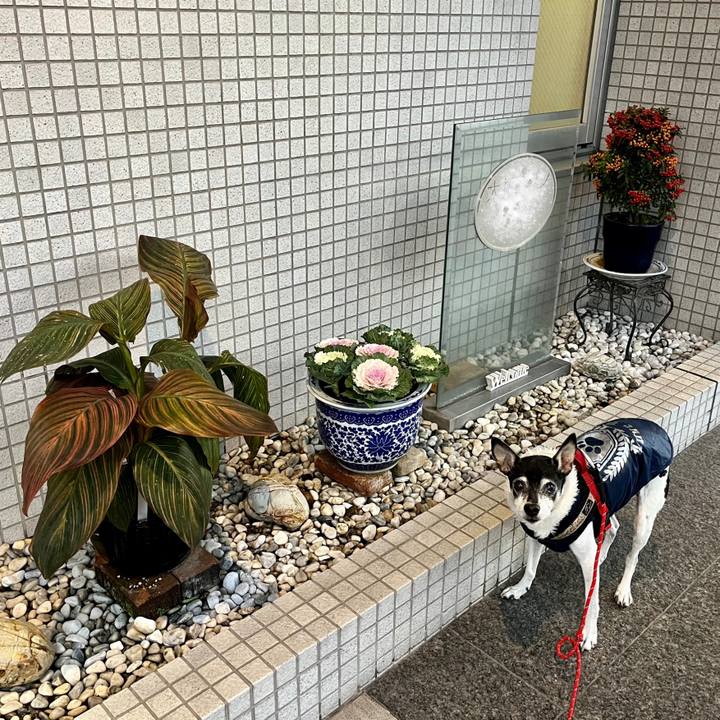 8bc9844a 0e6d 464d 846a 60d27d03104d 1638224039596