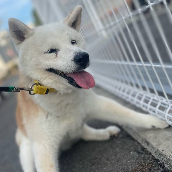 8bc9ba4f a2ef 4ede bde7 bf3a12553028 1754366619650