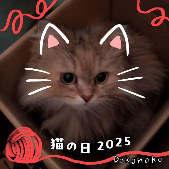 8bc9ca70 c4d0 4c81 abc0 6335613f2e59 1740707925042