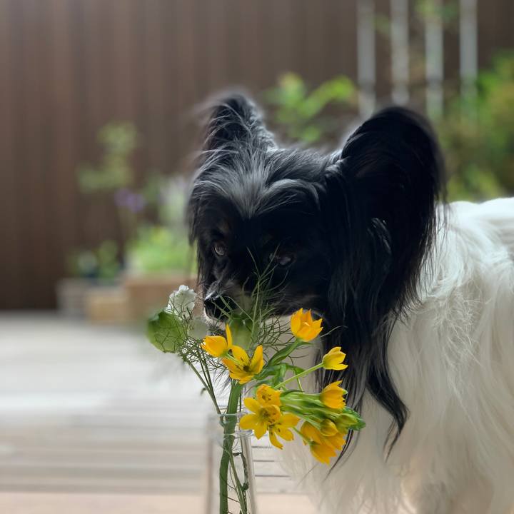 8bc9e80b fedd 4c98 9e4b 6eea00712bd9 1619598448276