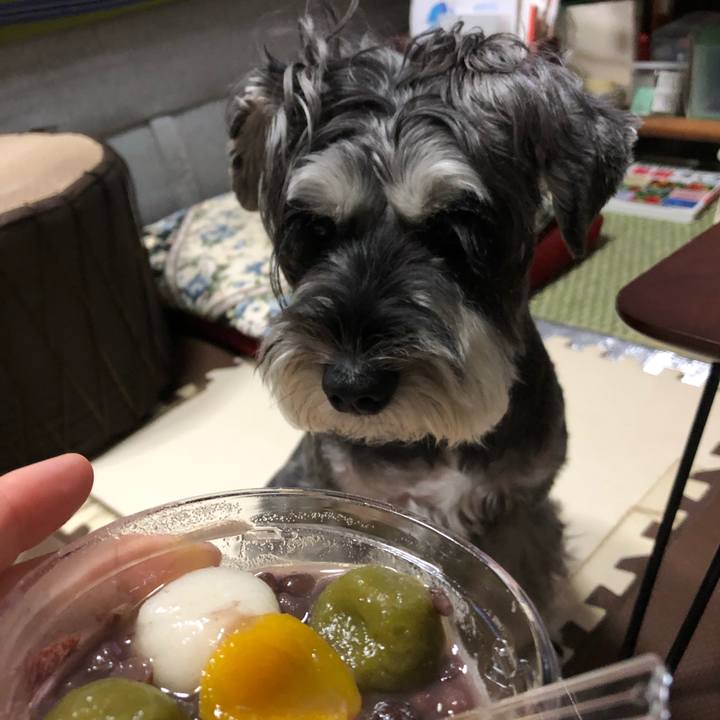 8bca1b51 95c5 4795 88db a5014ffcd467 1662125105491