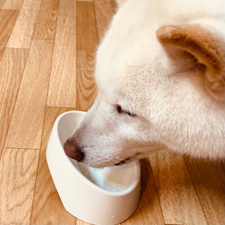 8bca249d 4bce 42ee 879d 903e28fc557b 1651991888718