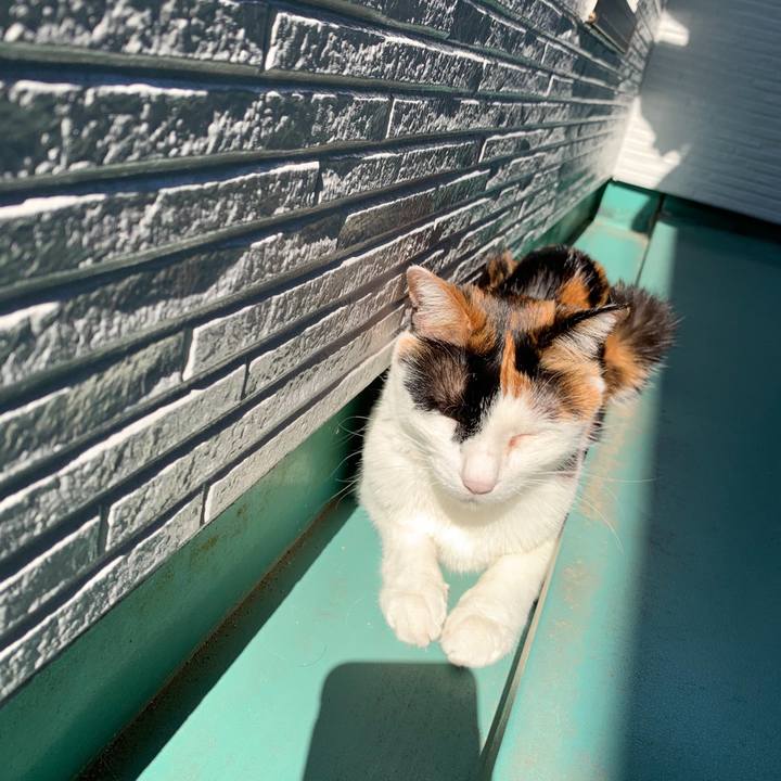 8bca7261 501e 47c6 a0bf bae520c5746e 1590709368005