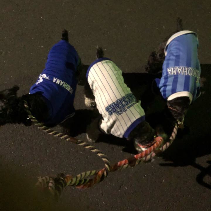 8bca7e3a 1645 4918 a265 1cbb1119cc55 1560519617234