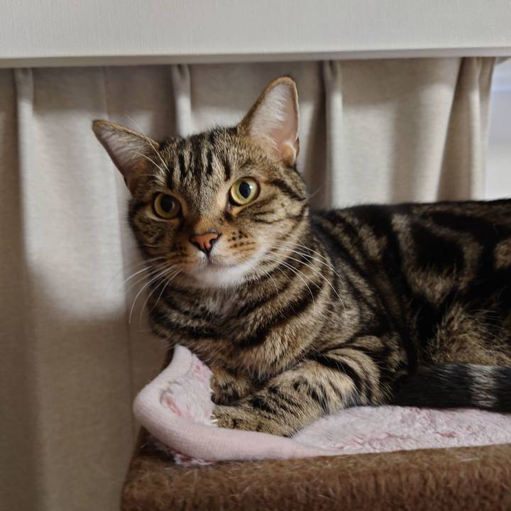 8bca995c 1955 4c64 bdf3 40788ae7a69f 1607821916974