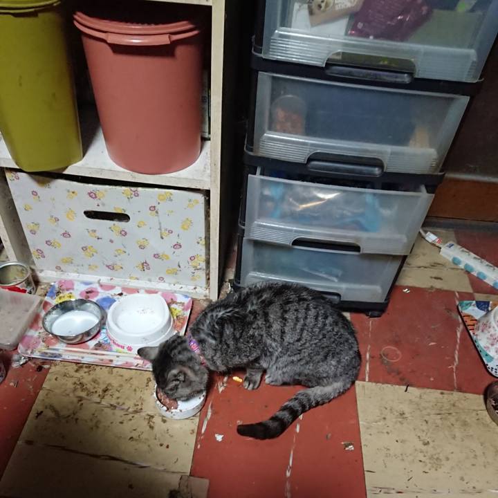 8bcac776 5333 4319 8867 38c347815b8b 1583354068656