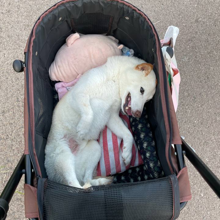 8bcae72a 75cd 477d 8a50 bcf984a6cd2c 1654343627159