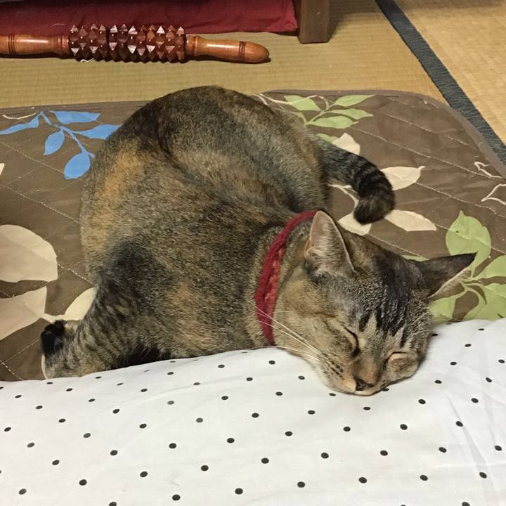 8bcb1d70 58fb 4ab0 8e8f ef63ab5dedab 1602042829989