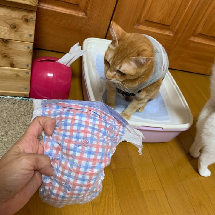 8bcb388d 1737 4919 8e56 deda970417ef 1633093074406