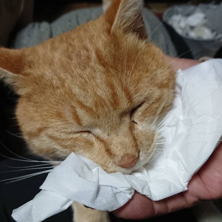 8bcb3923 3027 46dd bc48 361880f17000 1573853393100