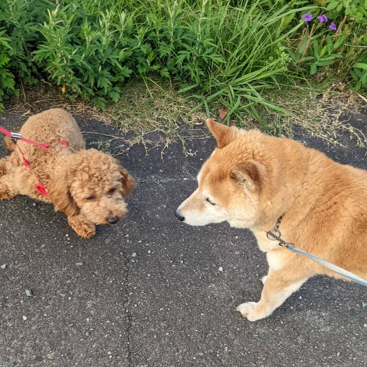 8bcb4e89 c312 4b50 97fd 876021ee0e08 1751026335482