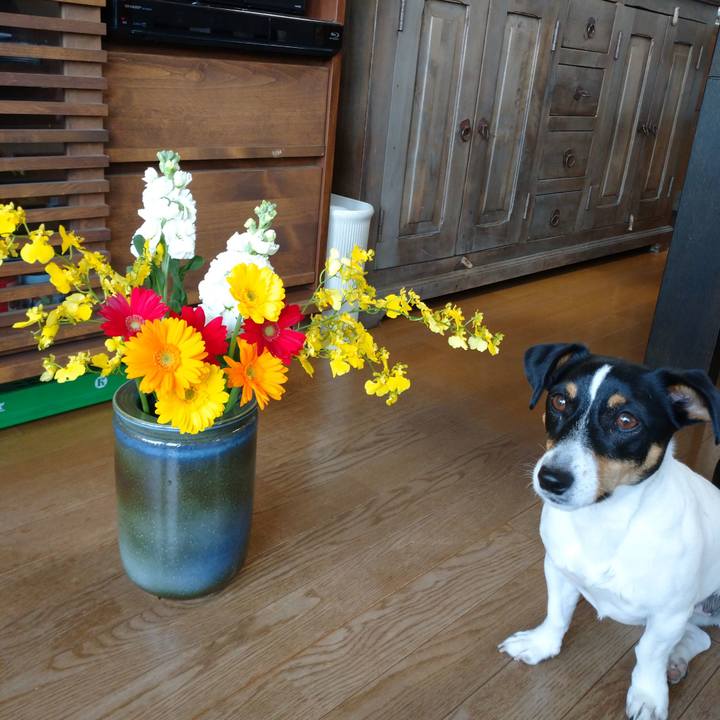 8bcb6a66 60a7 479f b9b0 fafd040f86ca 1611650675465