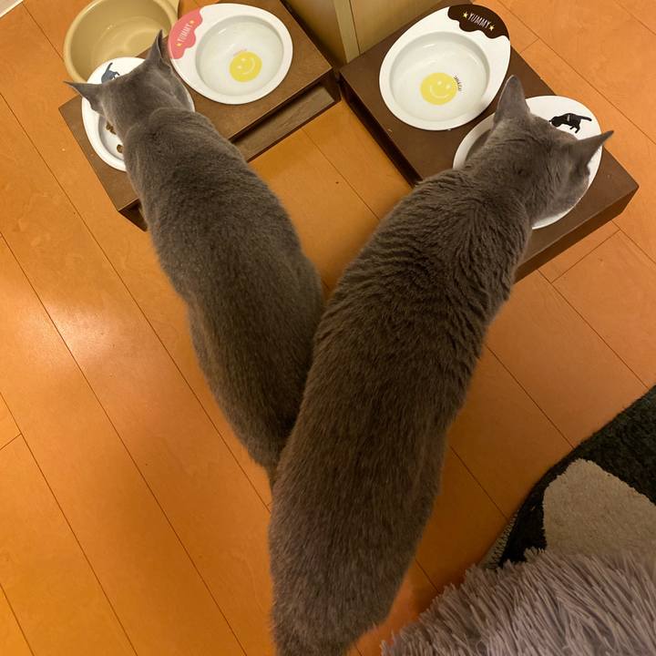 8bcb7d50 1ca1 47b3 9c48 42723e39ae74 1676456165737