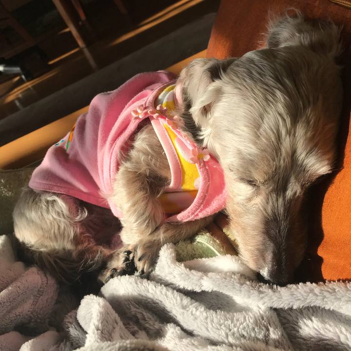 8bcb8a67 0170 4933 bf14 546fca3ad154 1509494320008