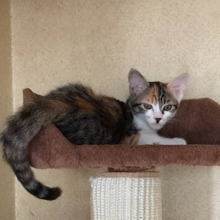 8bcbad14 3d55 4e40 970c 66cd2e42cd33 1632802255417