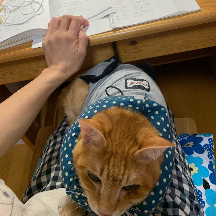 8bcbb4f7 a3b0 4056 839f 1f0a0a9c94d5 1635195743698