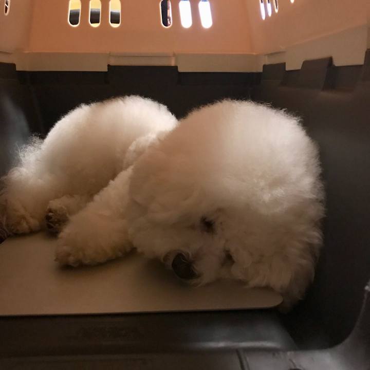 8bcbc93d 2416 4a1c 9089 b172b39202e0 1528202598995