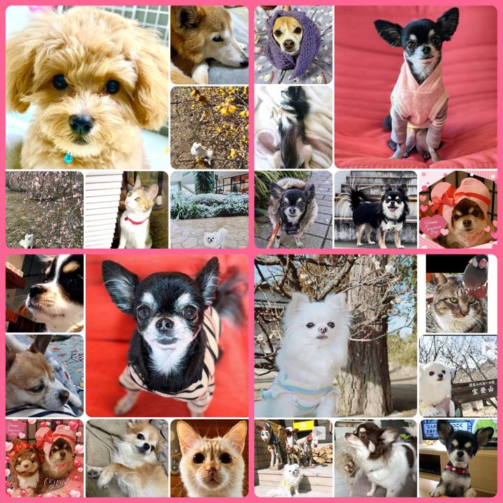 8bcbdb96 b044 45f7 9cb5 6a34d4c83566 1676758586659