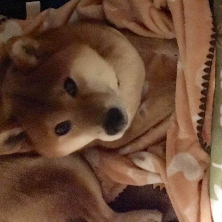 8bcbe884 d07a 4e11 b19b 651914c2ec17 1513810396021