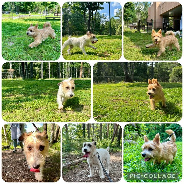 8bcbef42 329e 48b7 81d0 20ab81df52e2 1722693491184