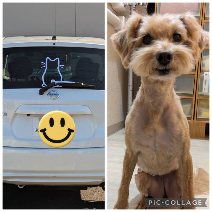 8bcbf970 c0cd 43c0 a420 4d3b68e3b853 1763365132858