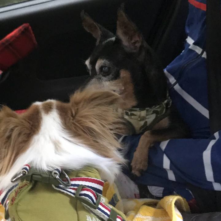 8bcc104b 8ea6 45ca 836d 7cc957a0fb55 1565502782892