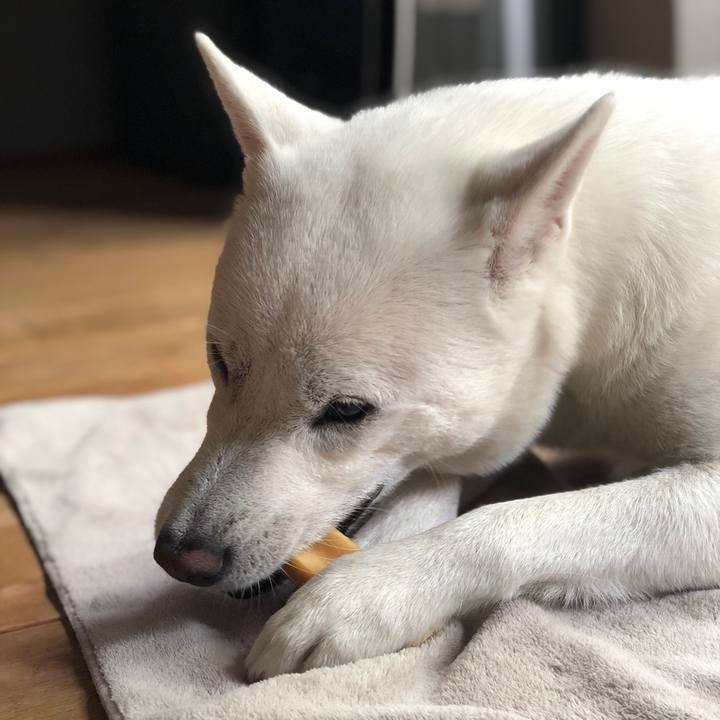 8bcc95a2 5fb7 4ae8 b50c df75538784c8 1560174701565