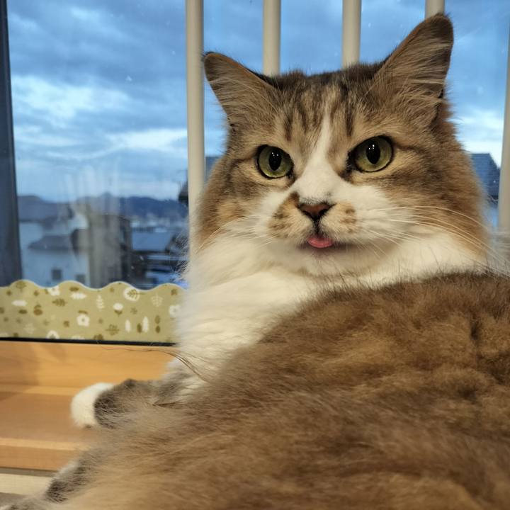 8bccc10c 7ecf 4781 a6d3 66a8f0934087 1773910887490