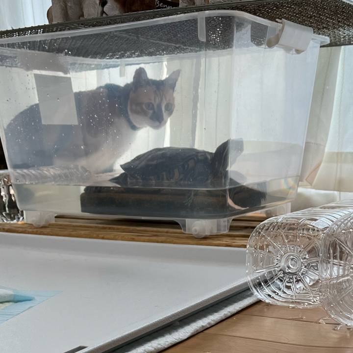 8bcd0684 b264 41a3 acdf c34dc94a19f4 1704512403507