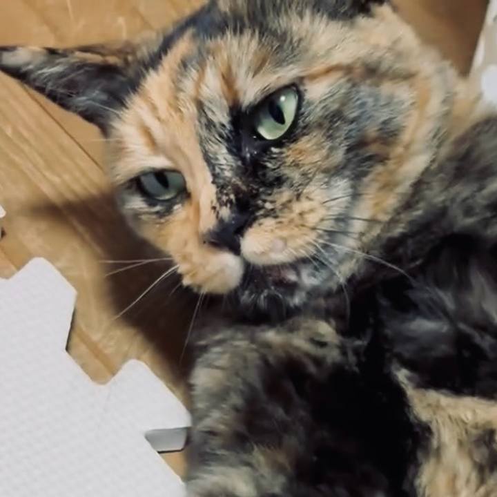 8bcd22dc 10fa 4482 92e0 cae0c29341b1 1749845707299