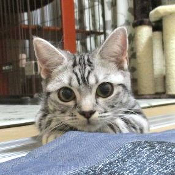 8bcd2727 c0ce 455a 89d5 db3491c925f3 1540547319267