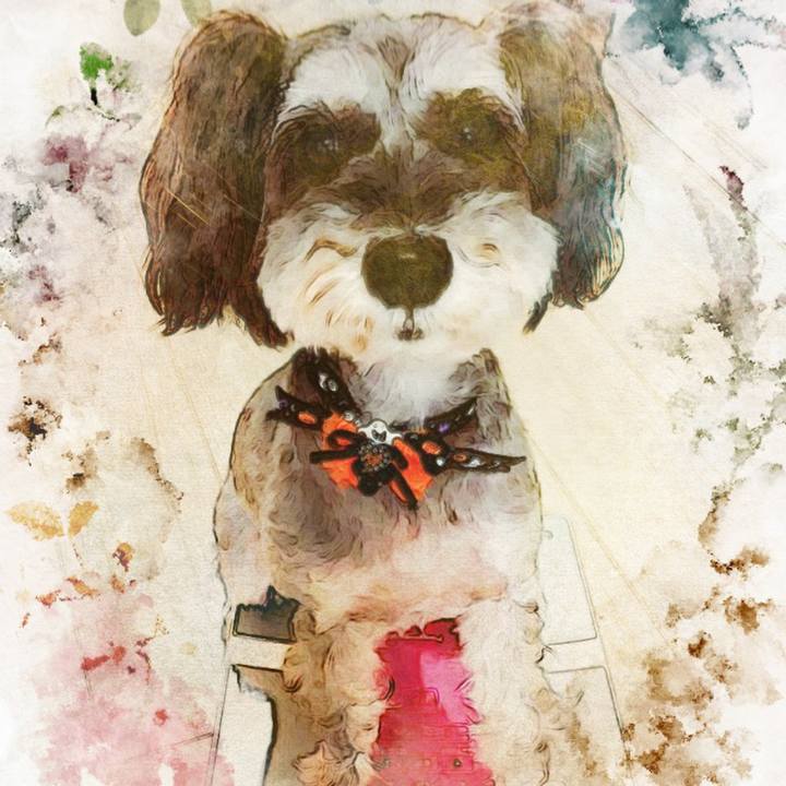 8bcd4d7f 848b 451f a5bd 4c2261e6d49c 1538092545224