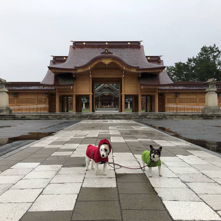 8bcd54d9 0e2f 4270 9b4e dab04de81cce 1562885693668