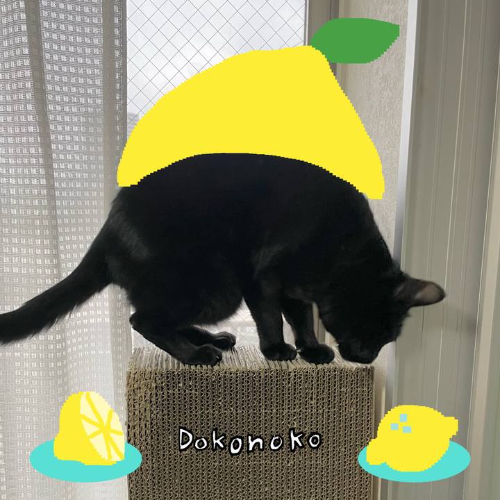 8bcd7374 e473 44d8 87d9 f8237865ec59 1741172044791