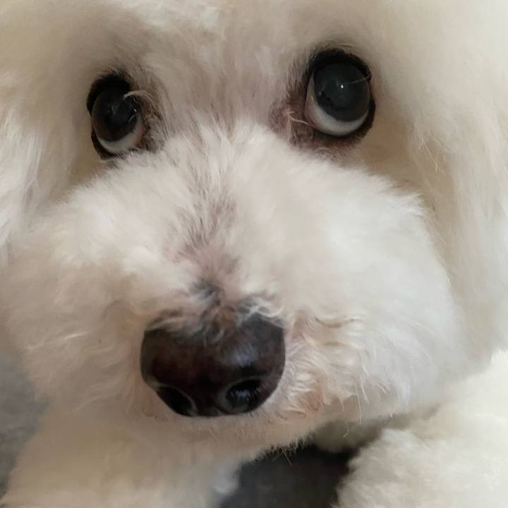 8bcd855e dd29 44b4 9d71 90a0ca55983c 1652257664742