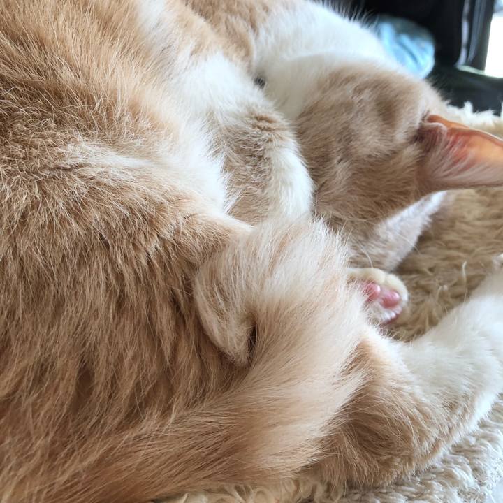 8bcd9135 7a47 41be a98e 04c676552c5a 1546227845500