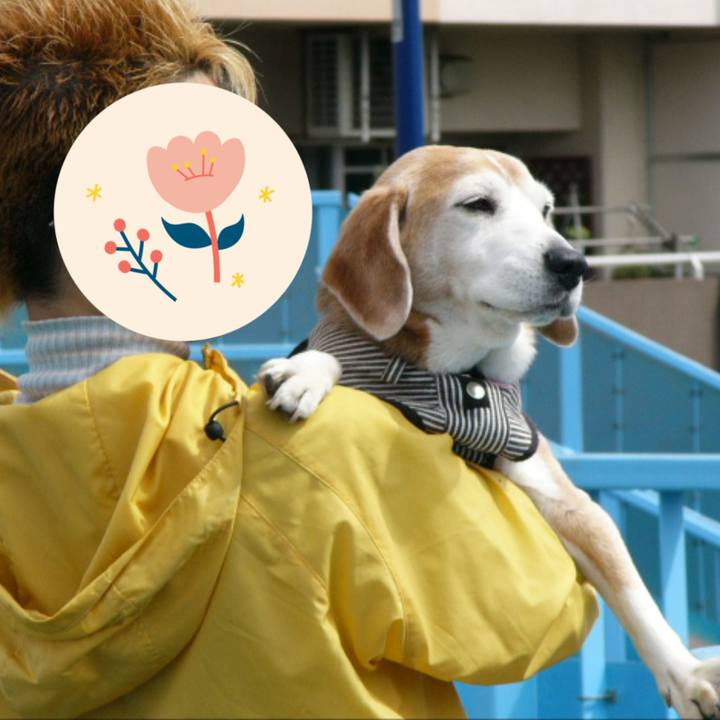 8bcdc8a5 339f 4a4a ae80 57a68040960d 1663204433759