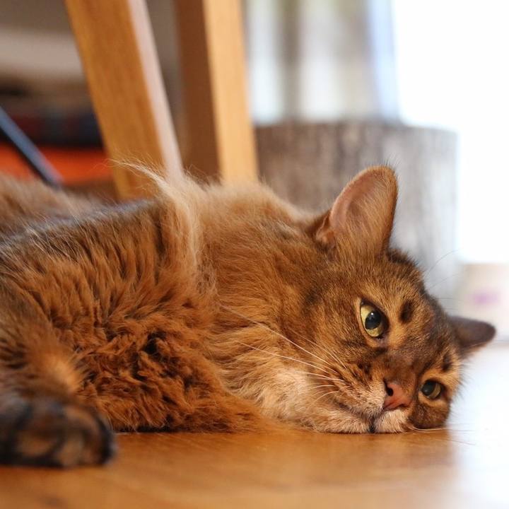 8bcddb33 2ec8 4df7 b6b9 aba133c06424 1691465798929