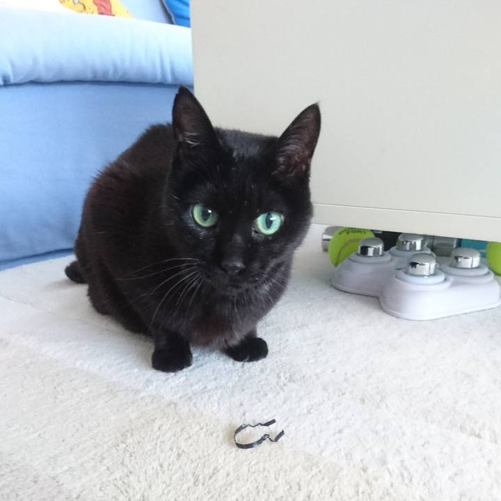 8bcde3cc 347c 4b21 a72a 3bbf7dba3e37 1523509408102