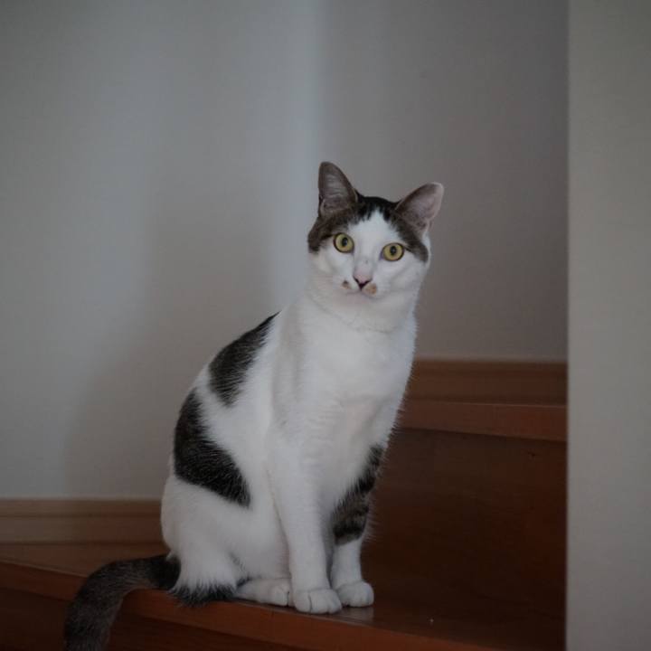 8bcde76f 448d 4913 9c2d fed59f908fa9 1526340744300