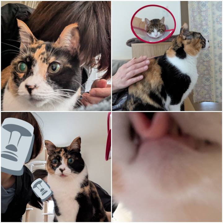 8bcdf660 2665 4912 b20f 4175ed34e519 1743054079566