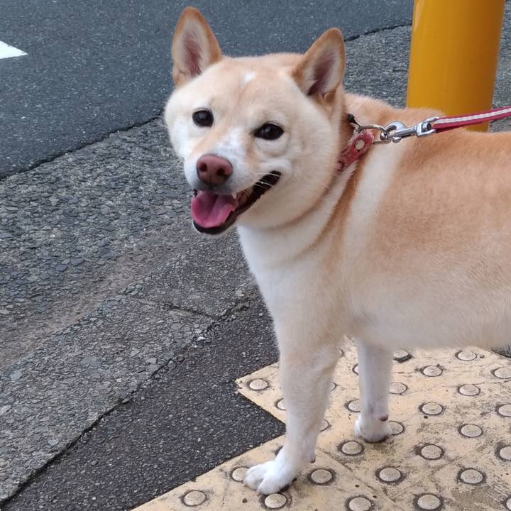 8bce13e1 9d59 408a 9f71 39ef0ebe7475 1600467396865