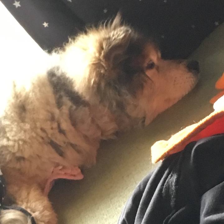 8bce3059 977f 43ef aff2 c9295fb2930d 1593617538409