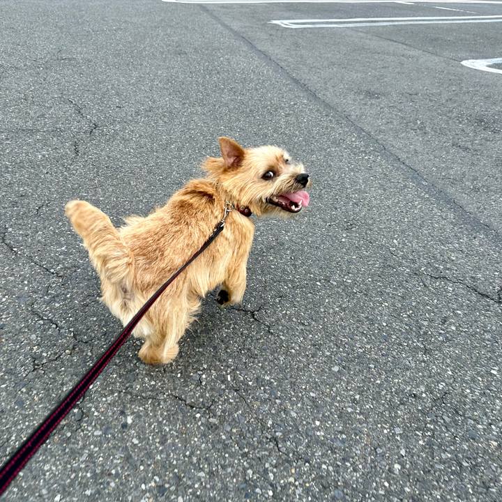 8bce4c94 cbba 41bd 984f 1d1f44795834 1752388575357