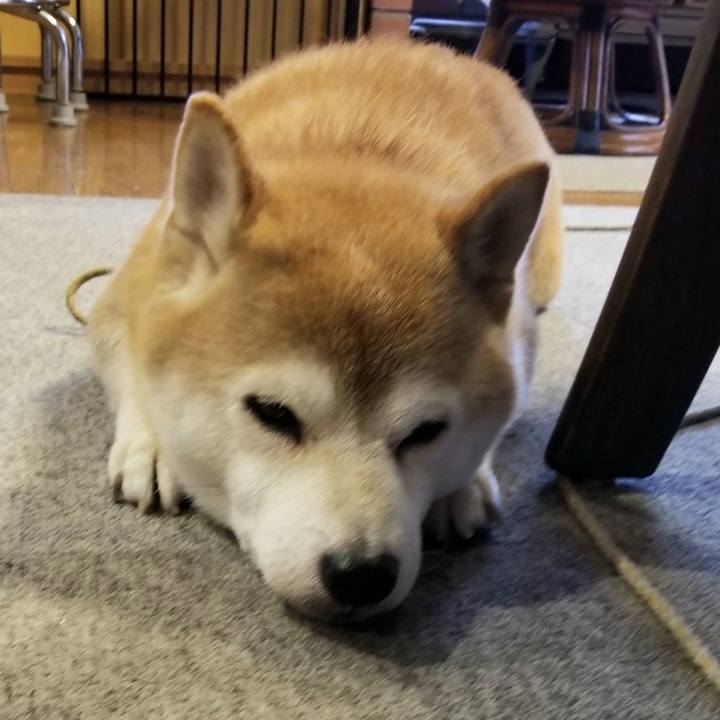 8bce6364 0f8a 4da3 9847 9062649c8894 1628815807504