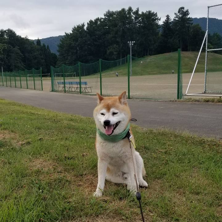 8bce9167 d4c7 43b4 b230 5014b7dff962 1657527304210