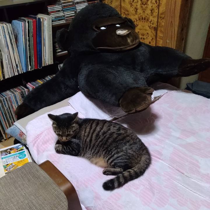 8bceb617 a115 4176 8bca 2a5f71677181 1694089547567