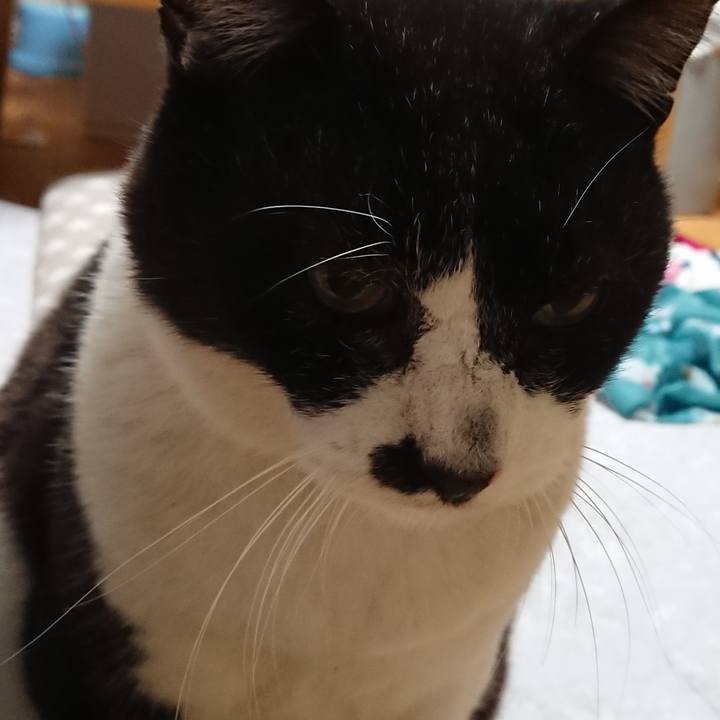 8bcebbee 6389 47f6 9d56 ebe926253316 1640078905490